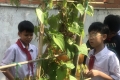 Học sinh trường Tr&iacute; Tuệ Việt trải nghiệm tiết học thực tế tại vườn trường